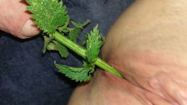 Urethral Nettle Fucking - BDSM Sub female takes nettles in the pussy